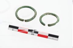 Foto von Bronzering (NHMW-PRAE-003485)